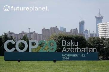 Grass in the forefront, with a sign that reads COP29, with building skyline behind it