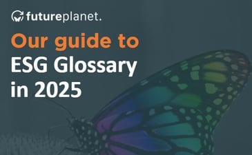 A butterfly in the background with text reading ESG Glossary 2025