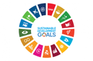 UNSDGs