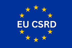 The Irish Business Guide to CSRD Compliance: Why It Matters in 2024